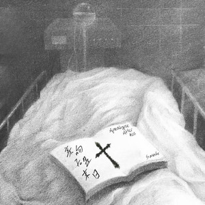 台湾真军巜逍遥双枪
